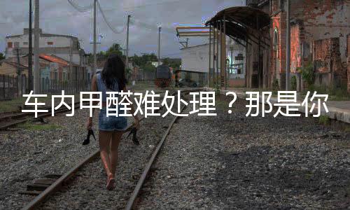 车内甲醛难处理？那是你还没遇到它—耐奥金车载净化器